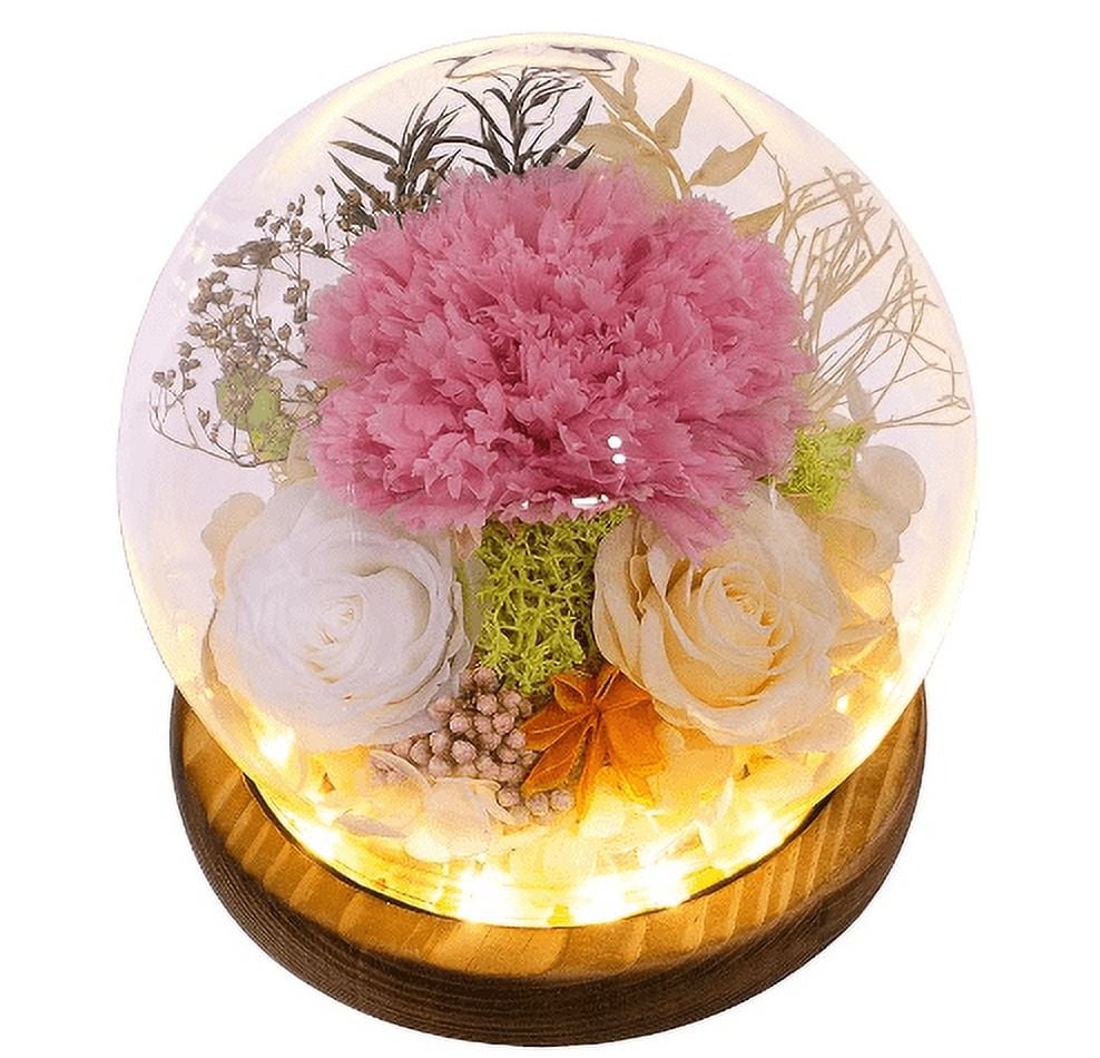 Waipfaru Preserved Fresh Flowers,Eternal Rose in Glass Dome,Forever Rose Flowers,Mother’s Day Gifts for Mom Grandma Wife