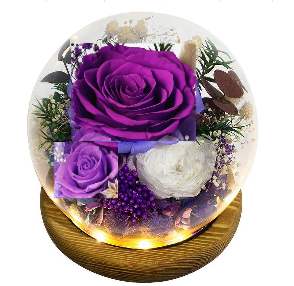 Waipfaru Preserved Fresh Flowers,Eternal Rose in Glass Dome,Forever Rose Flowers,Mother’s Day Gifts for Mom Grandma Wife