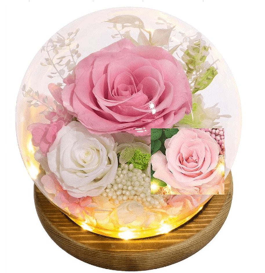 Waipfaru Preserved Fresh Flowers,Eternal Rose in Glass Dome,Forever Rose Flowers,Mother’s Day Gifts for Mom Grandma Wife