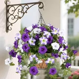 Yastouay Artificial Hanging Flowers for Outdoors, 3Pcs UV Resistant Fake Petunias Silk Flowers,Faux Hanging Baskets for Outside Front Door Porch Decor